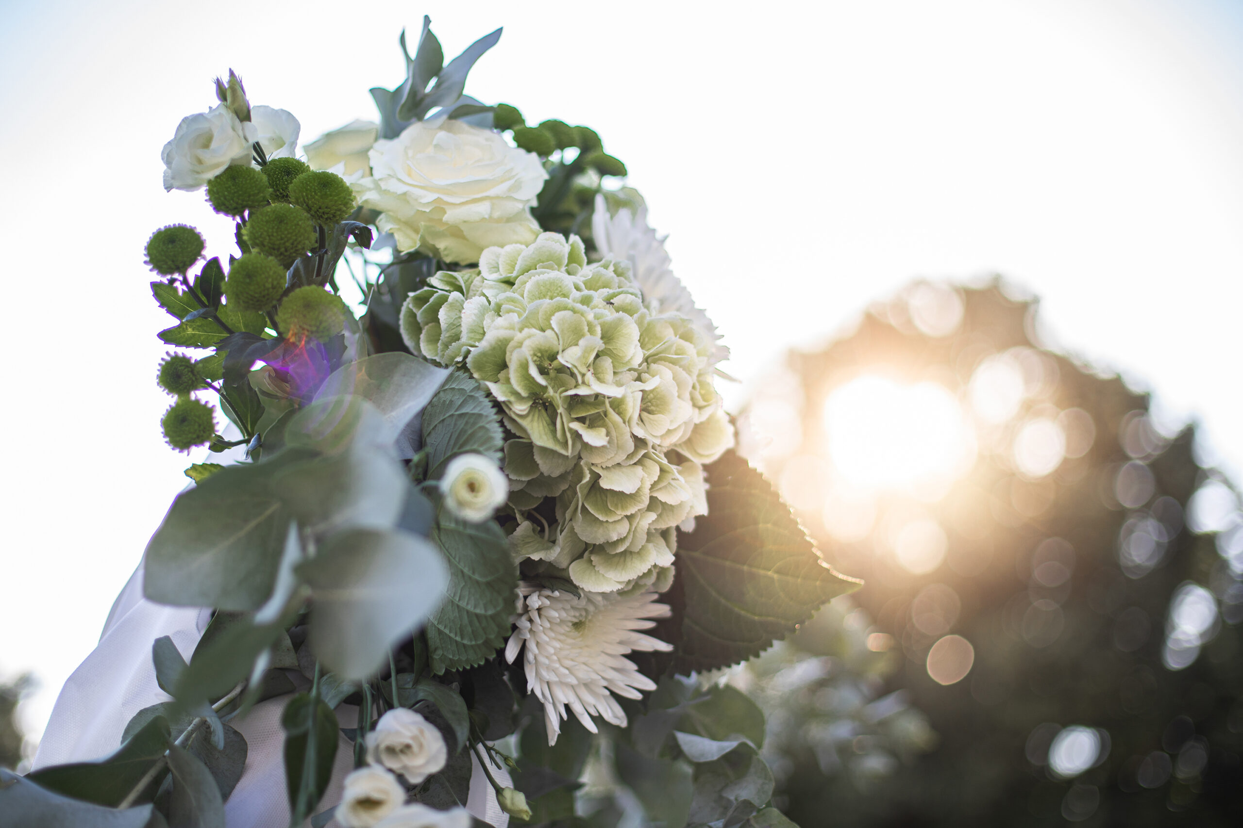 Photo d'une arche florale lors d'un mariage