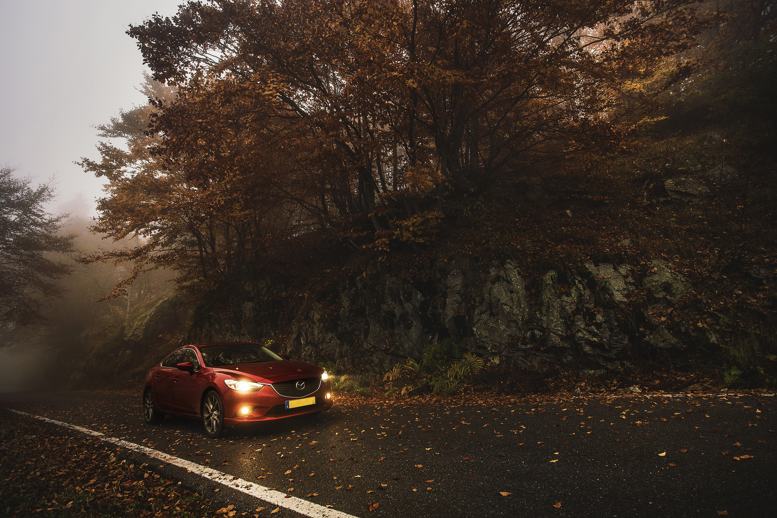 Photo d'une Mazda 6 sur une route d'automne