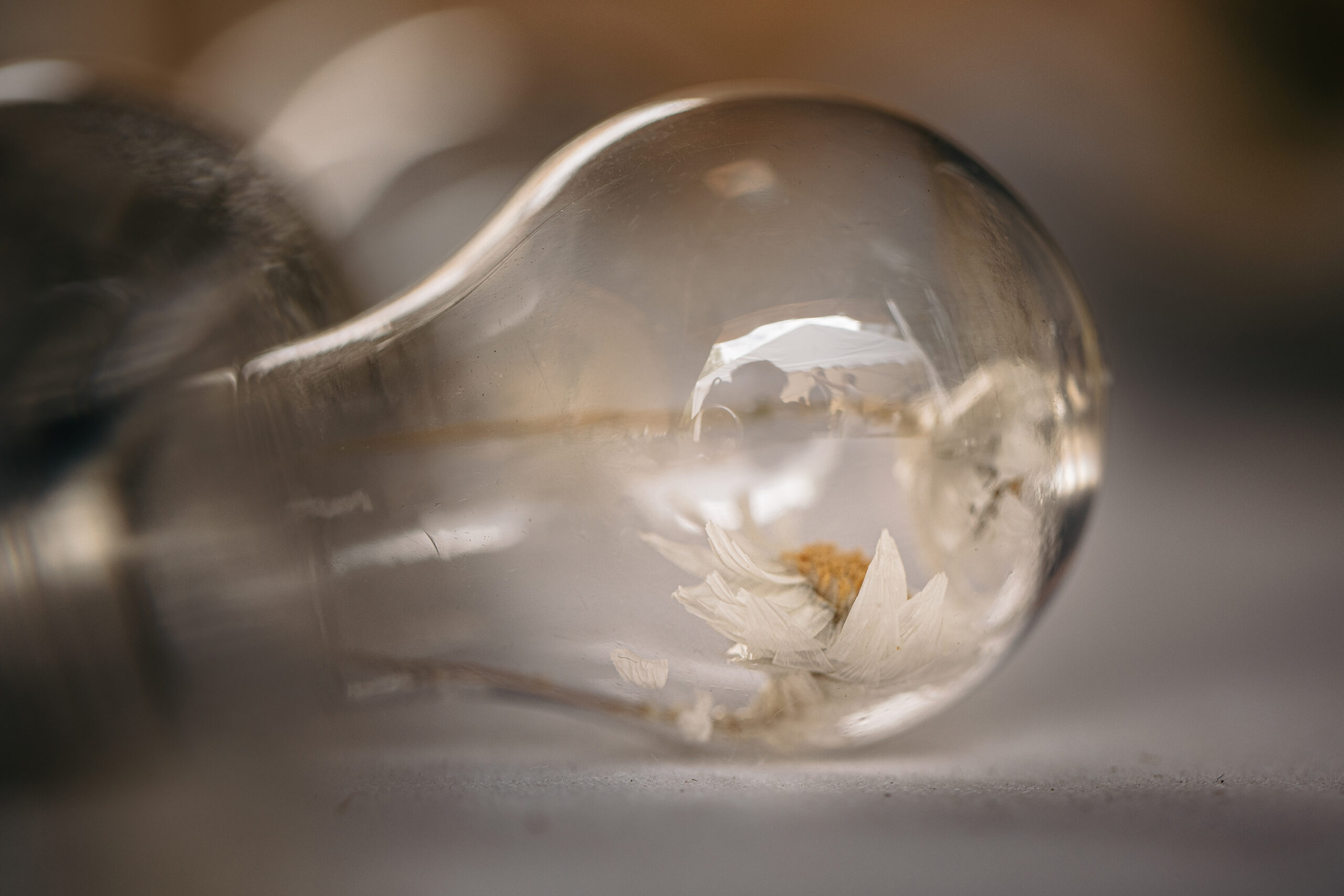 Fleur dans une ampoule, décoration de mariage