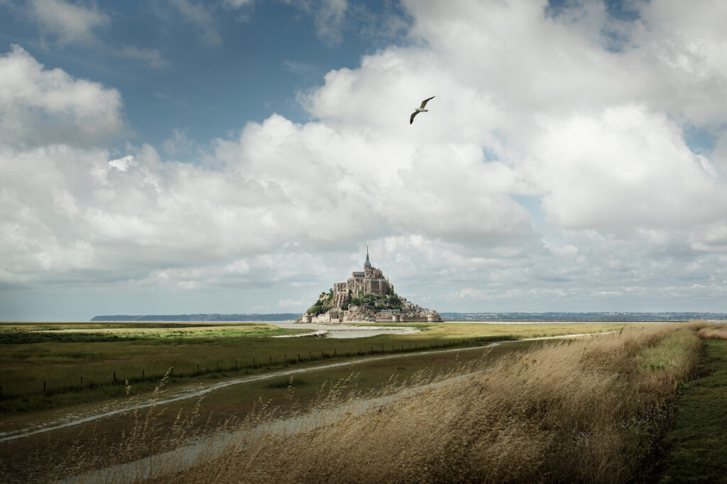 Photo du Mont Saint Michel survolé par un oiseau