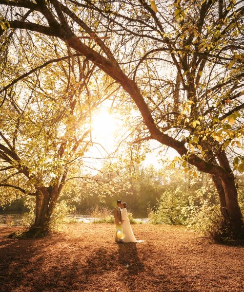 Couple de mariés s'embrassant sous un arbre au coucher du soleil